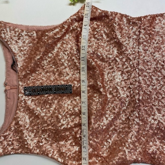 NWT Gianni Bini Juliet Dress Rose Sequin Feminine Fairytale Size 4 - Picture 4 of 17